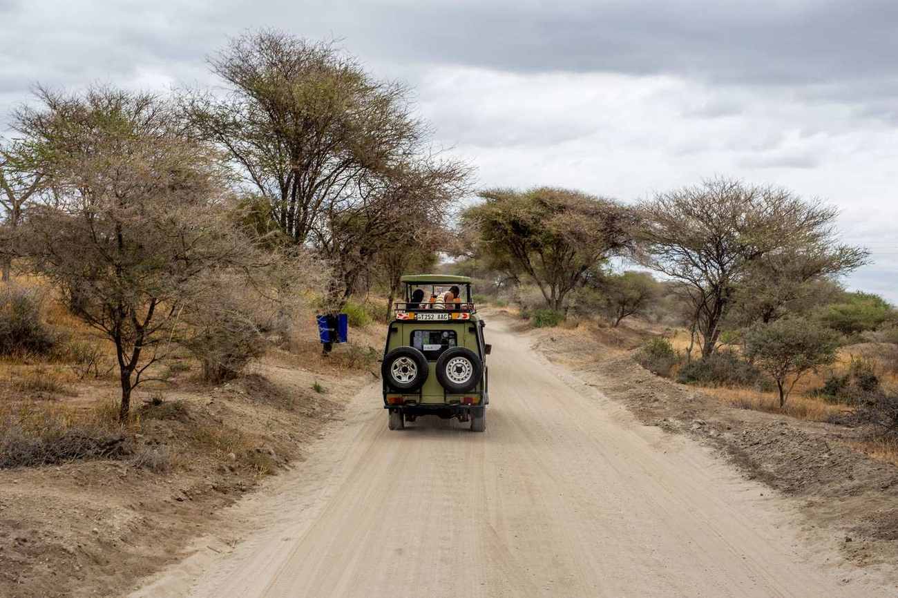 Safari 4x4 on a track through the Serengeti bush