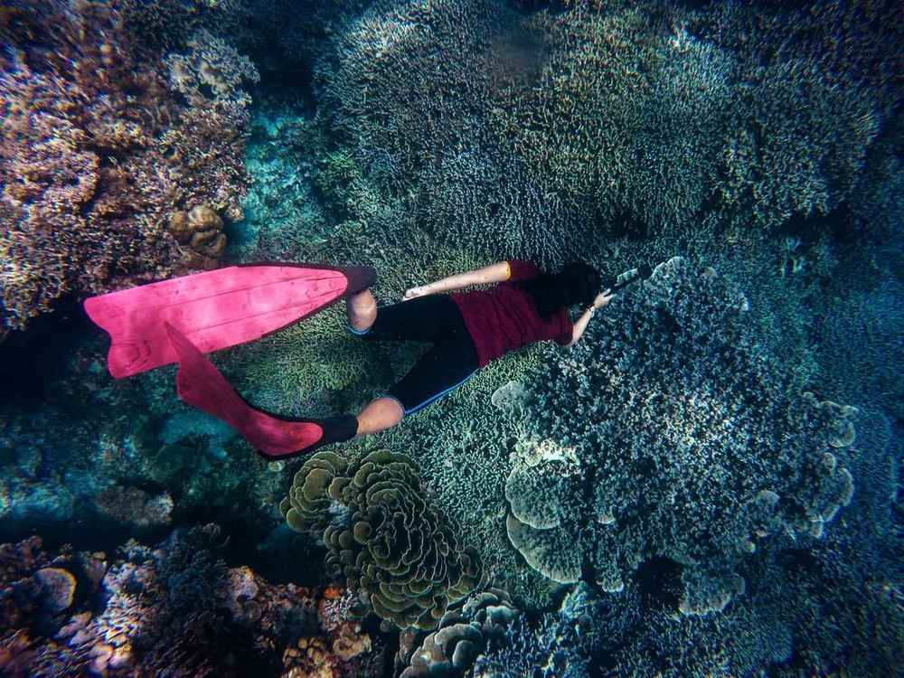 Snorkeller over a coral garden near Mnemba
